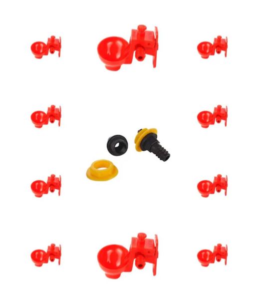 Text