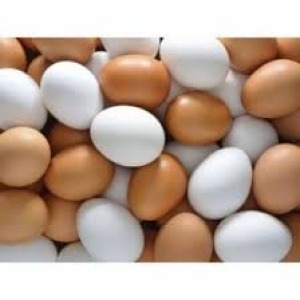 Sahte Tavuk Yumurtası (Yapay Plastik Yumurta) (10 adet)